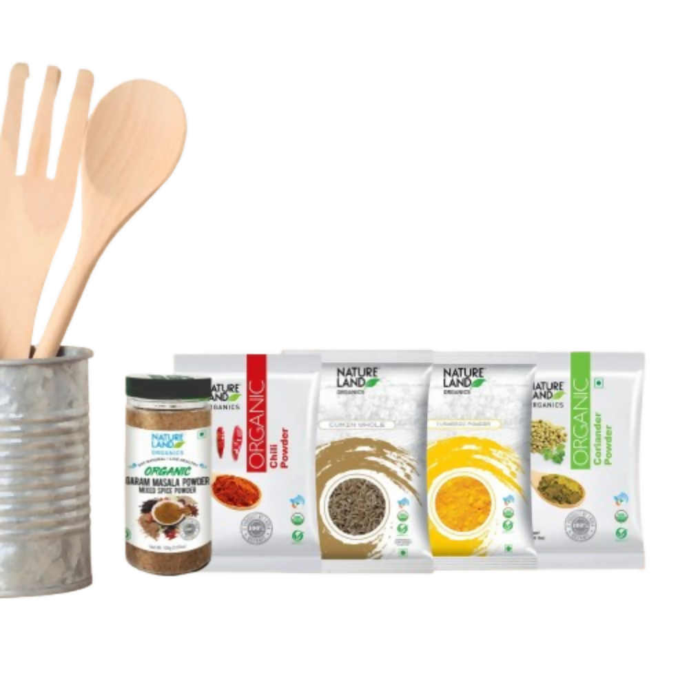 Indian spice pantry essentials – turmeric, cumin, garam masala and more available at Grab2Buy USA