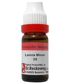 Dr. Reckeweg Lemna Minor Dilution