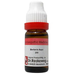 Dr. Reckeweg Berberis Aqui Dilution | Grab2Buy