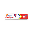 Dr. Morepen Pain-X Max Body Pain Relief Gel