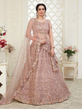 Myra Beautiful Dusty Pink Heavy Embroidered Net Lehenga | Grab2Buy