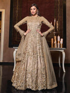 Myra Beige Net Embroidery Beautiful Gown | Grab2Buy