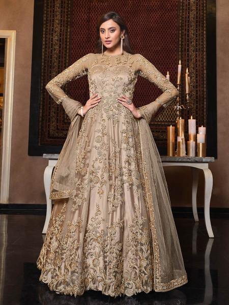 Myra Beige Net Embroidery Beautiful Gown | Grab2Buy