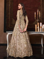 Myra Beige Net Embroidery Beautiful Gown | Grab2Buy