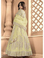 Myra Pista Butterfly Net Embroidered Anarkali Suit | Grab2Buy