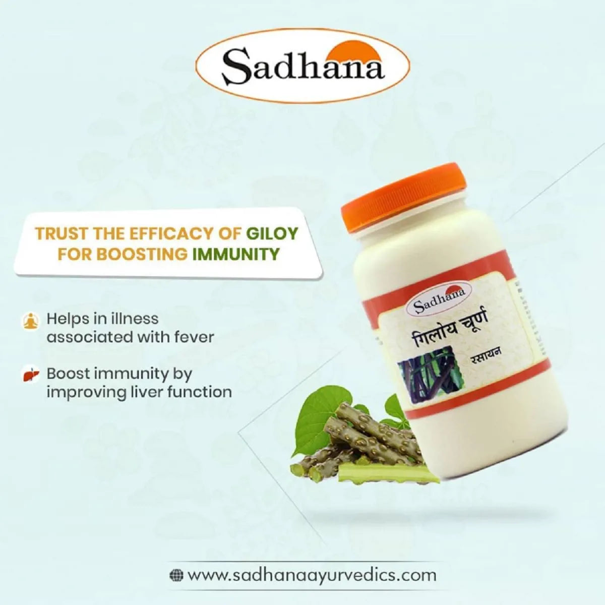Sadhana Giloy Powder | Grab2Buy