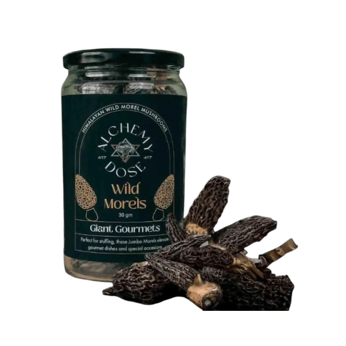 Alchemy Dose Sun-Dried Morel Mushrooms | Swadesiicart