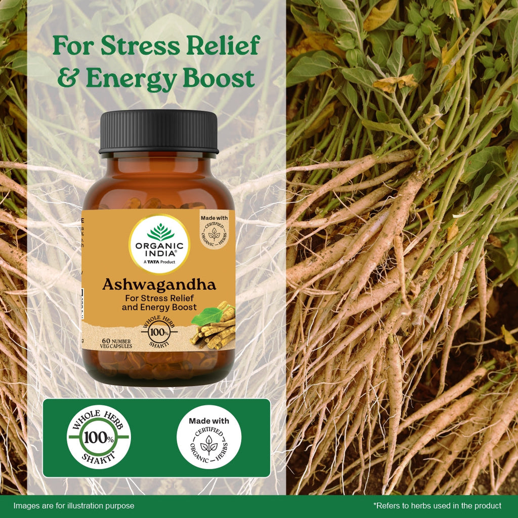 Jagat Pharma Ashwagandha Capsules | Helps Relieve Stress and Anxiety