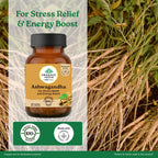 Jagat Pharma Ashwagandha Capsules | Helps Relieve Stress and Anxiety