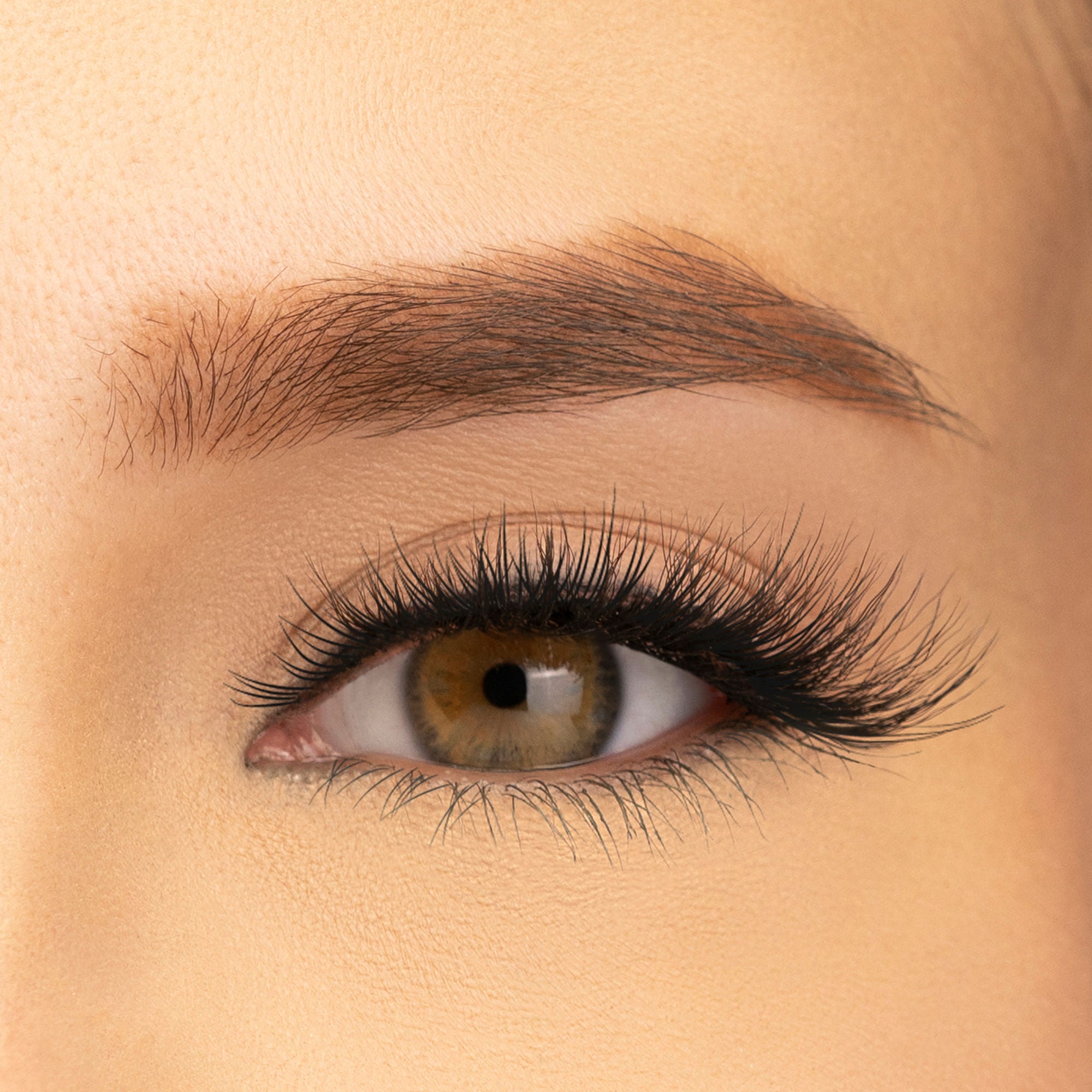 PAC Studio Ace Of Lashes - All In