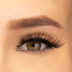 PAC Studio Ace Of Lashes - Dealer | Grab2Buy