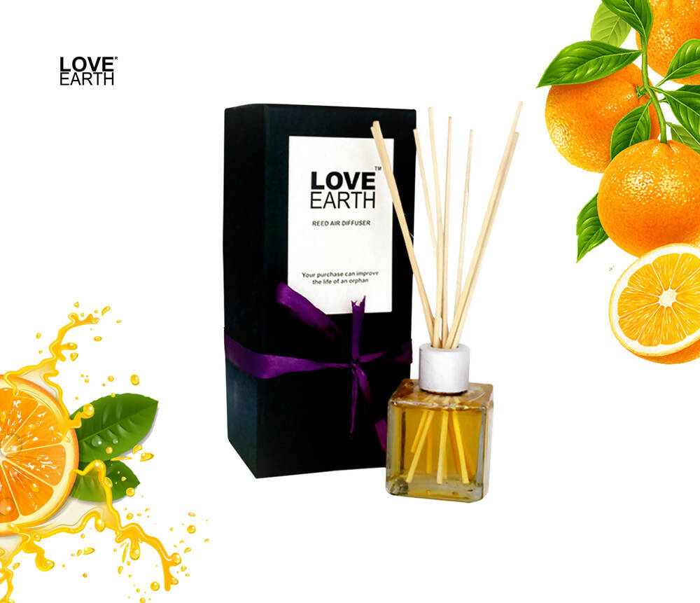 Love Earth Reed Diffuser- Orange | Grab2Buy