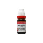 Dr. Reckeweg Kali Nitricum Dilution | Grab2Buy