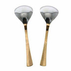 Serving Spoons Set of 2 for Dinner - ware | Grab2Buy