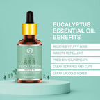 Nuerma Science Eucalyptus Essential Oil For Cold, Fresh Breathing & Joints Pain