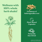 Jagat Pharma Ashwagandha Capsules | Helps Relieve Stress and Anxiety