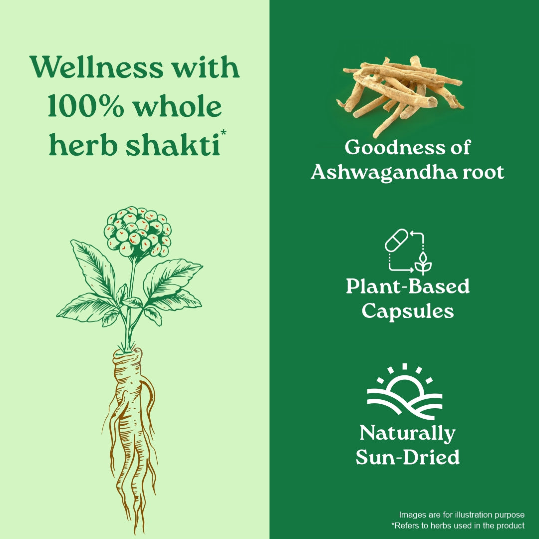 Jagat Pharma Ashwagandha Capsules | Helps Relieve Stress and Anxiety