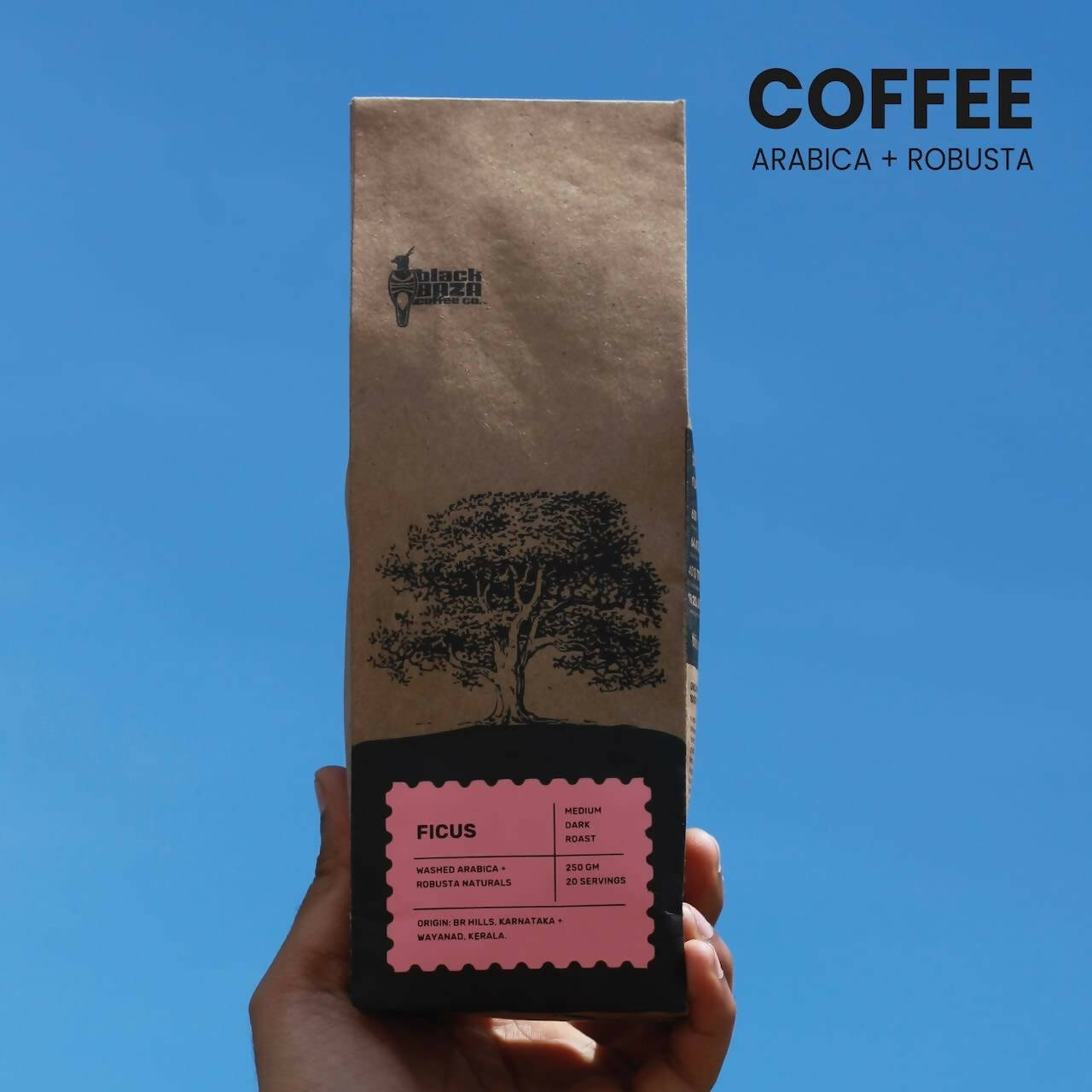 Black Baza Coffee Ficus | Grab2Buy