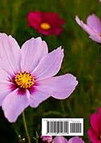 The Garden of the Prophet by Gibran, Khalil