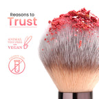 Swiss Beauty Bake Me Up Blush & Highlighter , 2-In-1 Baked Formula, Long-Lasting - Baked Apricot