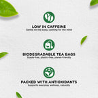 jivraj9 Tea Mint Green Tea | Grab2Buy