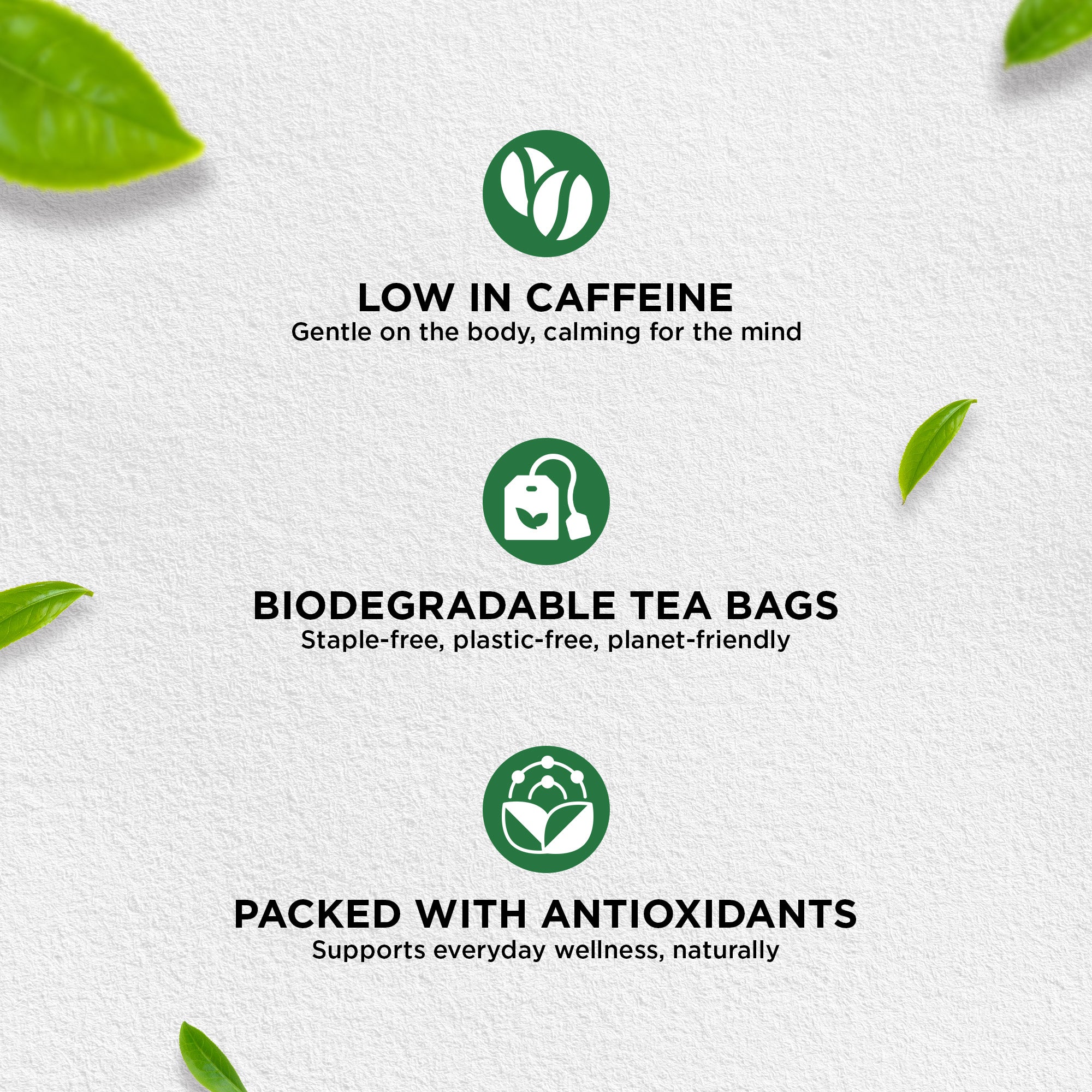 jivraj9 Tea Mint Green Tea | Grab2Buy