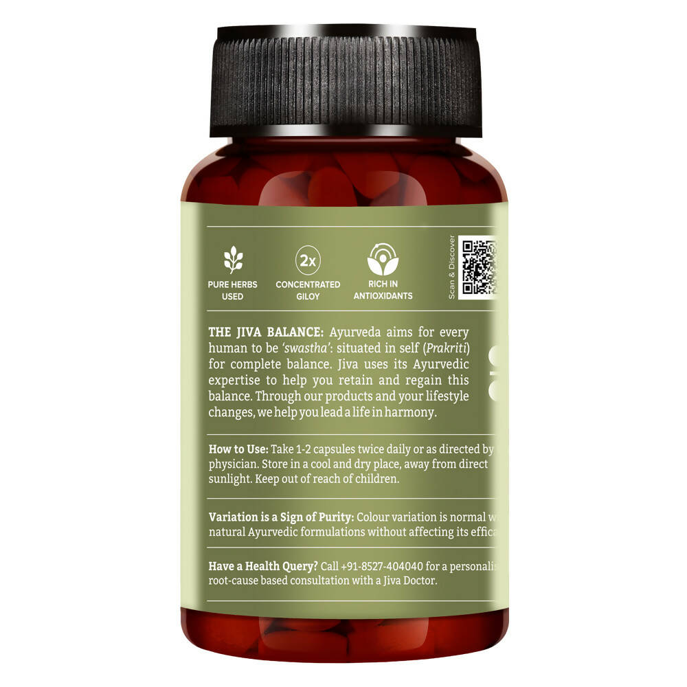 Jiva Ayurveda Giloy Capsules | Grab2Buy