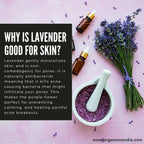 Organicos Lavender Face Cleanser