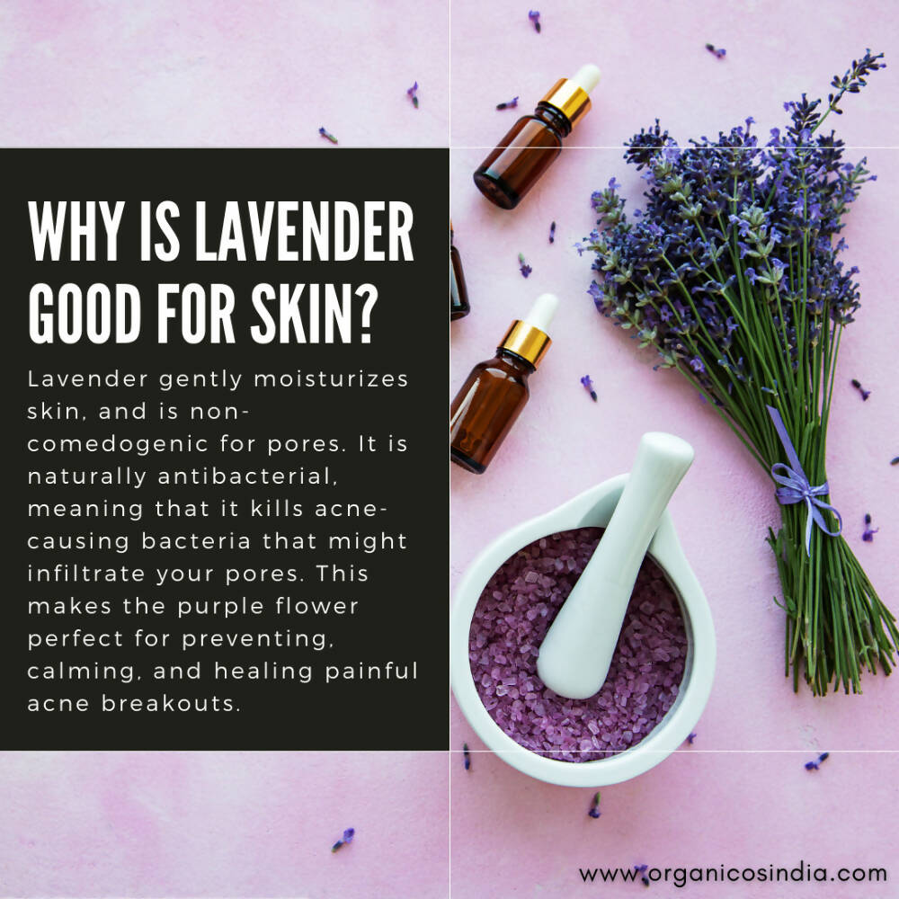 Organicos Lavender Face Cleanser | Grab2Buy