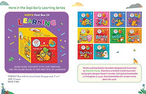 Learn Patterns And Pencil Control With Gopi (2-5 Years) By Sudha Murty | Grab2Buy