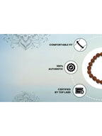 NVR 5 Mukhi Rudraksha Stretchable Bracelet | Grab2Buy