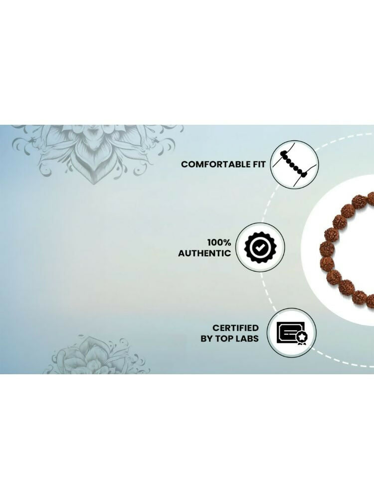 NVR 5 Mukhi Rudraksha Stretchable Bracelet | Grab2Buy