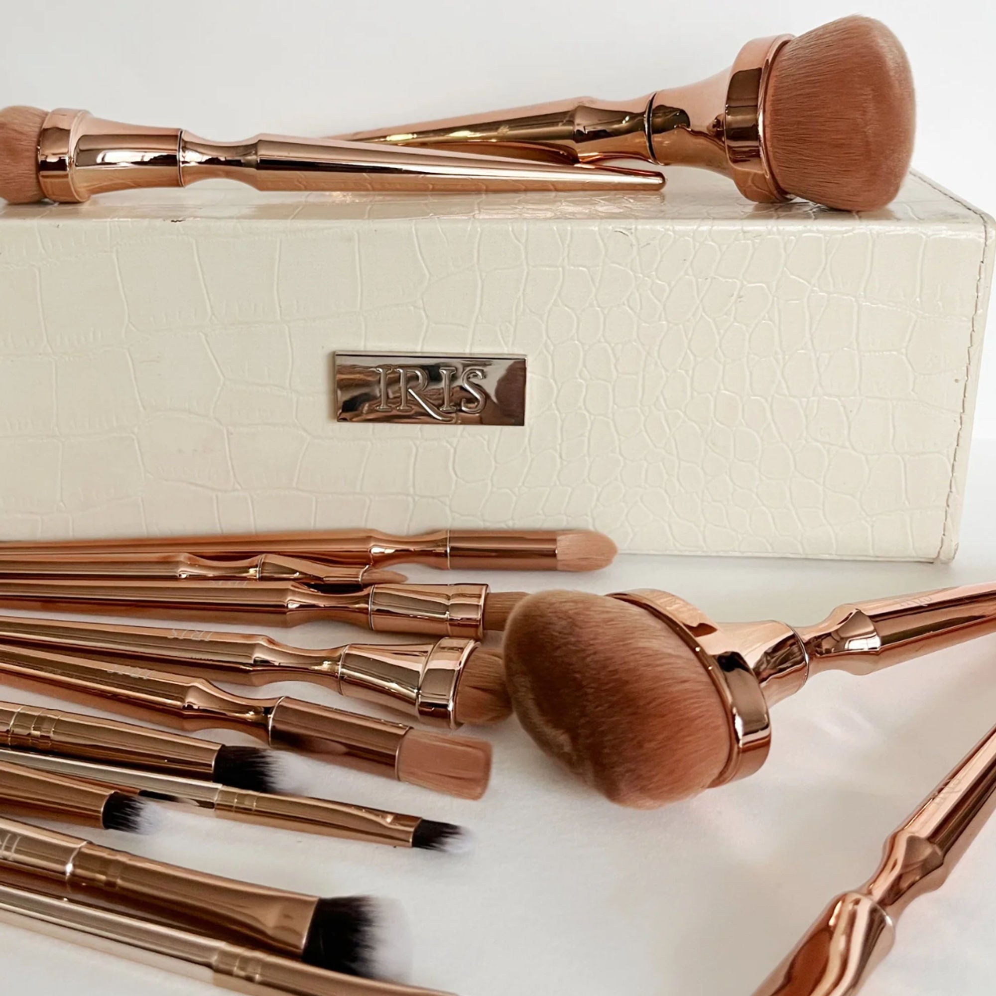 IRIS COSMETICS Luminous Complete Brush Set | Grab2Buy