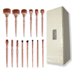 IRIS COSMETICS Luminous Complete Brush Set | Grab2Buy