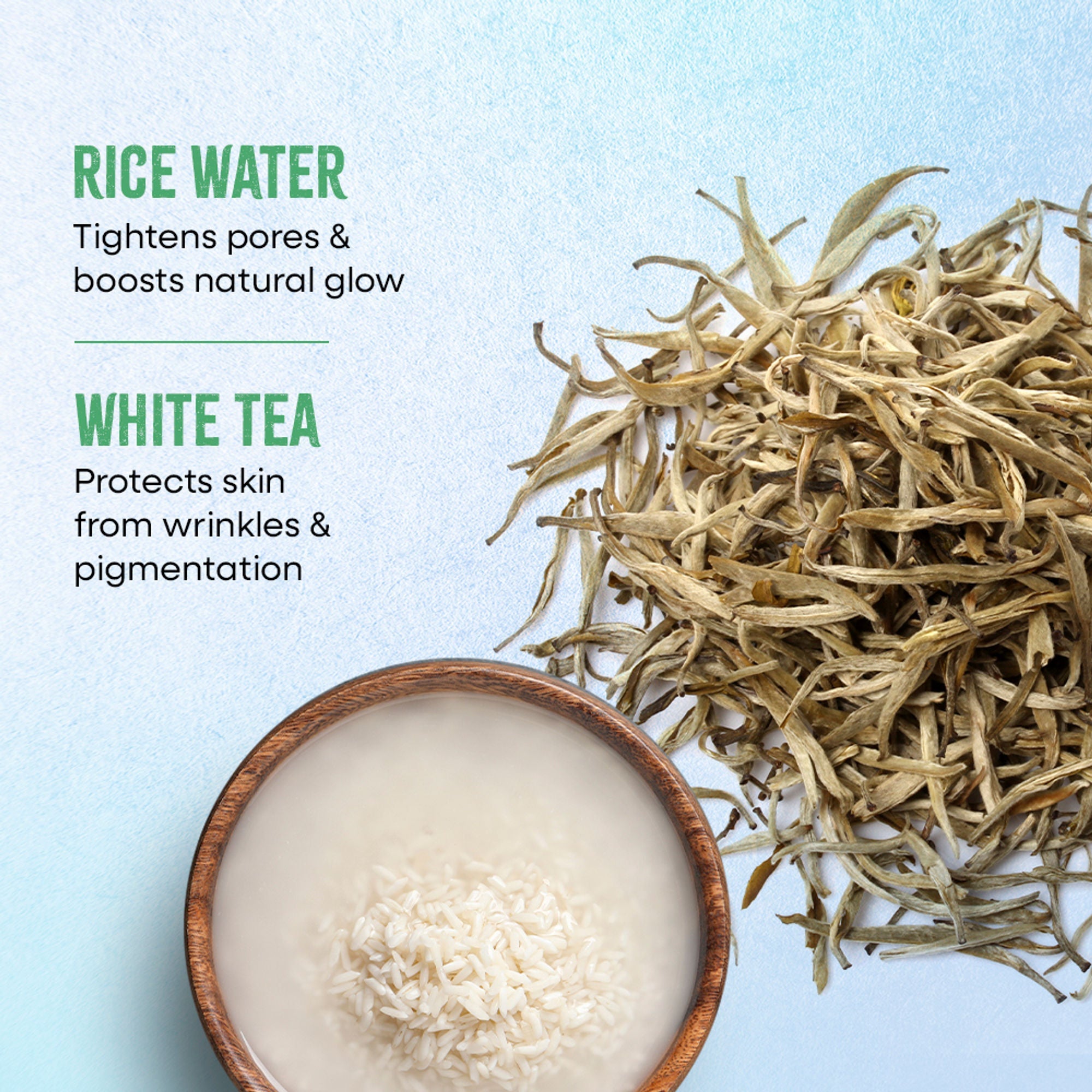 Nykaa Green Tea + Aloe Vera Sheet Mask For Hydrated Skin - Formulated in Korea - For All Skin Types - Rice Water + White Tea