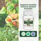 Satya Pharmaceuticals Ayurveda Immu Plus Capsules