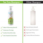 Mamaearth Tea Tree Shampoo & Onion Hair Oil | Grab2Buy