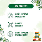 Pure Nutrition Papaya Leaf & Fruit Extract Veg Capsules | Grab2Buy