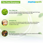 Mamaearth Tea Tree Shampoo & Onion Hair Oil | Grab2Buy