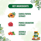 Pure Nutrition Papaya Leaf & Fruit Extract Veg Capsules | Grab2Buy