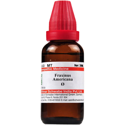 Dr. Willmar Schwabe India Fraxinus Americana Mother Tincture | Grab2Buy