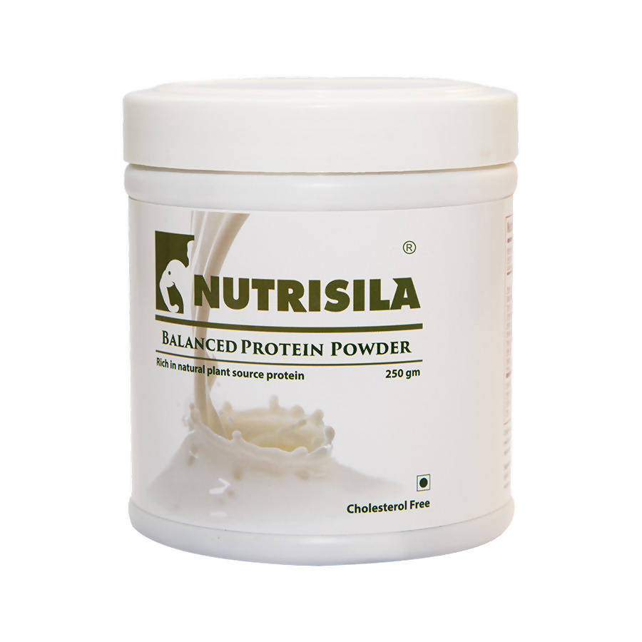 Extasy Nutrisila Balanced Protein Powder | Grab2Buy