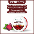She Essentials Beetroot Lip Balm For Lip Lightening, Dry & Chapped Lips, Makes Soft & Glossy Lips | Grab2Buy