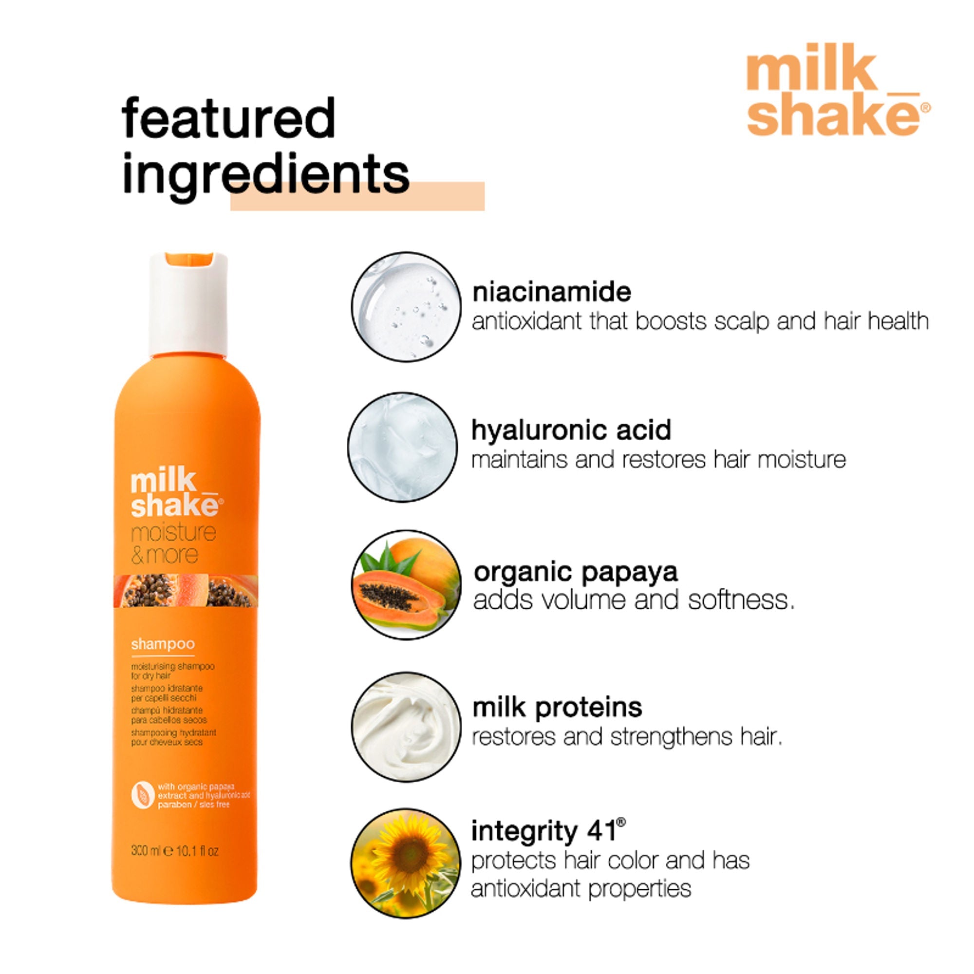Milkshake Moisture & More Shampoo For Dry & Dehydrated Hair | Grab2Buy