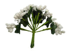 White Pollens | Grab2Buy