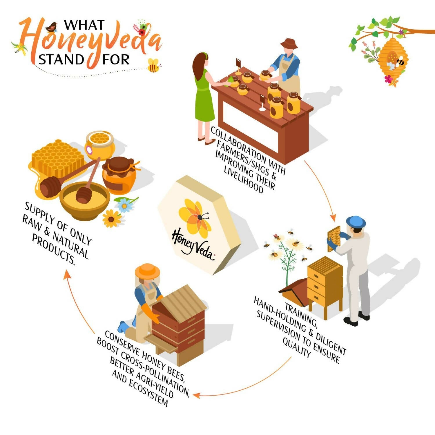 HoneyVeda Premium Raw Mustard Honey | Grab2Buy