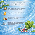 CUFFS N LASHES Lush Lips Intensive Recovery Lip Mask - Mr Peppermint