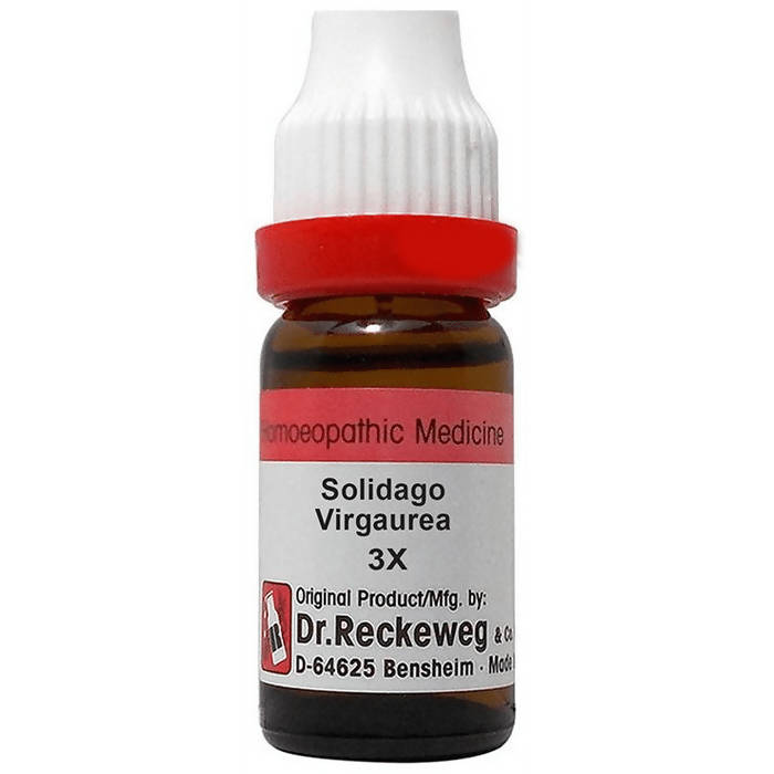 Dr. Reckeweg Solidago Virgaurea Dilution | Grab2Buy