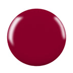 Swiss Beauty Professional UV Gel Nail Polish - Shade-25 | Grab2Buy