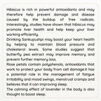 Satvi Wellness Mix Flower Drink | Mixed Flower Tea | Herbal Tea